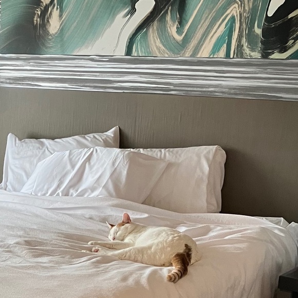 Meet your Posher, H - Picture 7 of 10